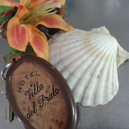 Del Prato Cucina Romagnola E Possibilita Pacchetto Hotel Bellariva Di Rimini